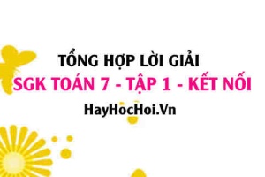 Giải Bài tập Toán 7 tập 1 SGK Kết nối tri thức